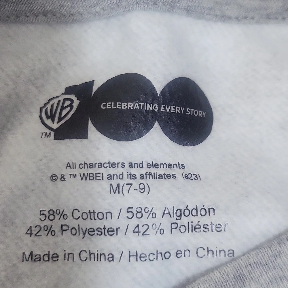 Warner Bros. Multicolor Character Sweatshirt - Picture 5 of 9